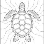 Detailed Turtle Overhead View Coloring Pages Printable