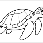 Easy Turtle Coloring Pages Printable