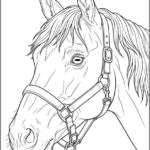 Realistic Horse with Head Collar Coloring Pages