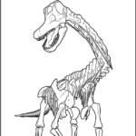 Realistic Titanosaur Skeleton Coloring Pages Printable