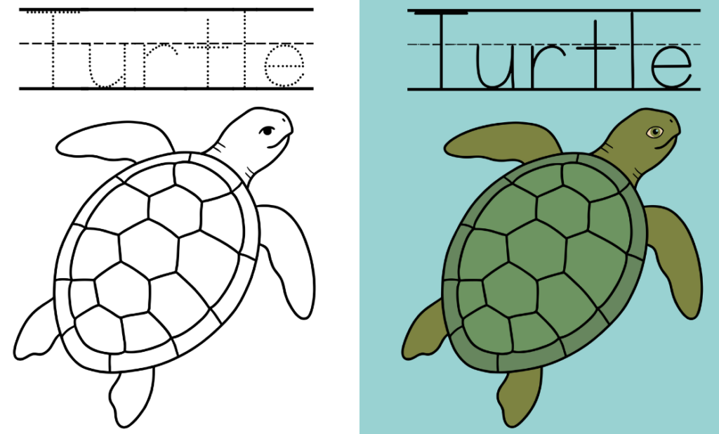 Turtle Coloring Pages