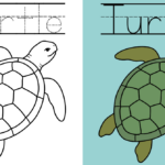 Turtle Coloring Pages