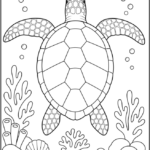 Turtle Shell Patterns Coloring Pages Printable